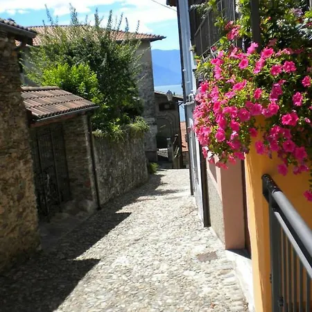 Apartment Il Nido *